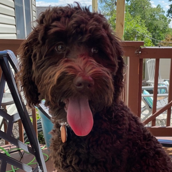 Meet your Posher, Erin - Picture 1 of 1